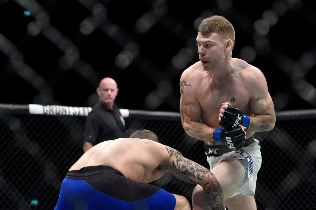 UFC 218 Fighter Picks | DraftKings Fantasy MMA ...